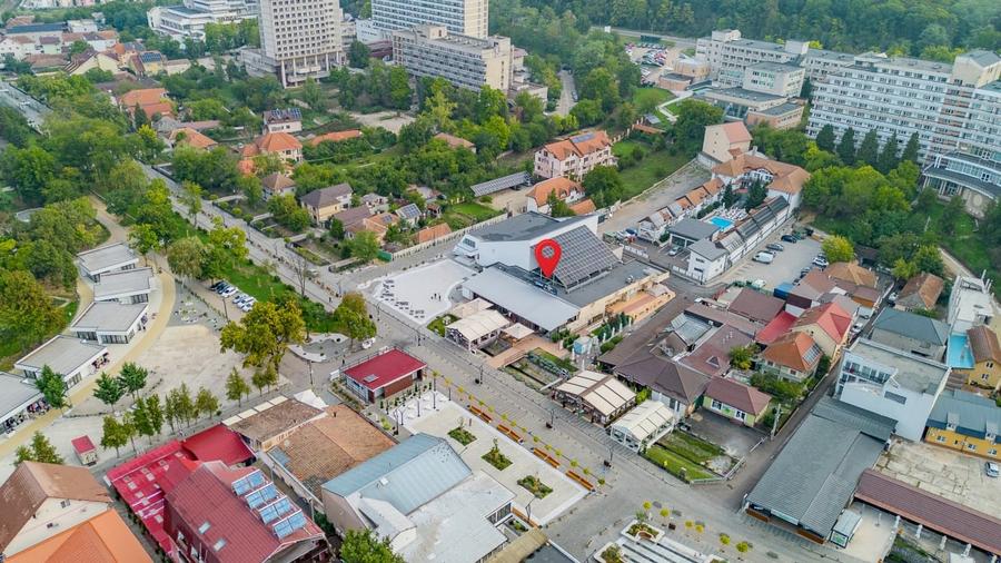 Spațiu versatil pentru business în Băile Felix - 3