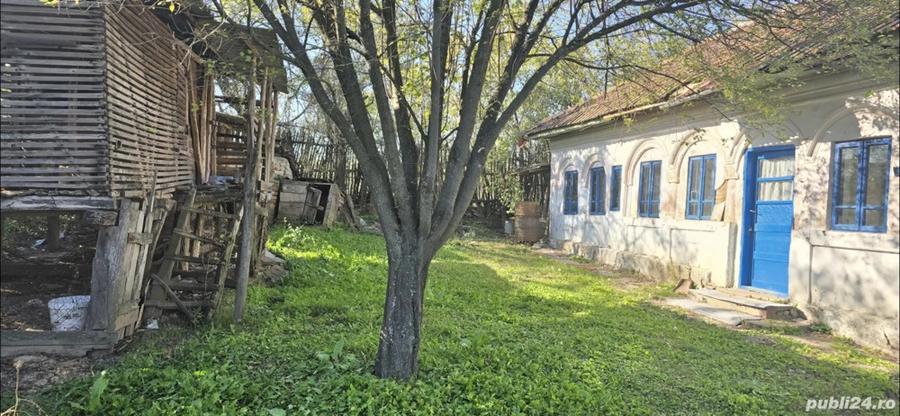 Casa + teren 4.021 mp in comuna Goie?ti - 1