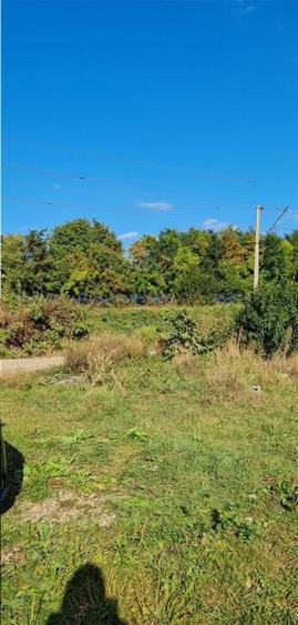 Teren Burdujeni, 2800 mp. - 10