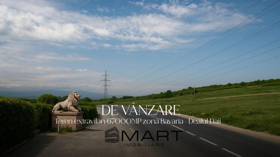 Teren 6,7 ha Dealul Daii langa Bavaria - 4