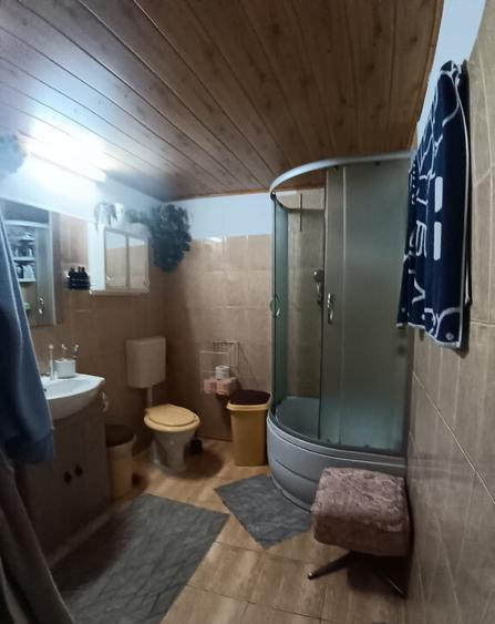 Valea Borcutului, casa 23 ari teren - 3