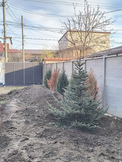 Proprietar vand casa Soseaua Salaj - 7