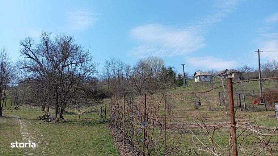 Casa de vacanta in Cotmeana, Arges - 1