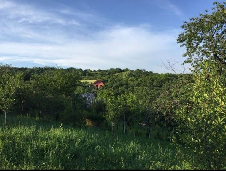 Teren intravilan Podgoria Oradea cu panorama / priveliste / view - 4