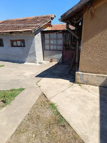 Vand Casa in ora?ul Corabia - 6