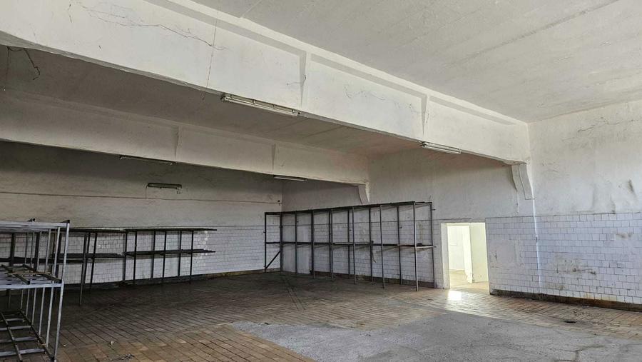 Hale Depozit Birouri de INCHIRIAT Alexandria - 1