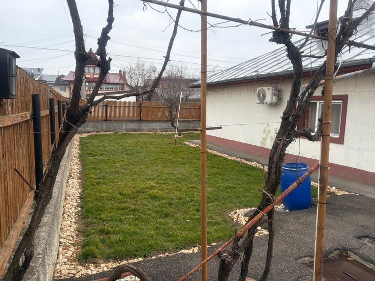 Casa de inchiriat Campina - 8