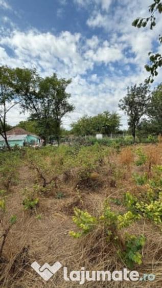 Casa cu teren Valcelele, Calarasi. - 2