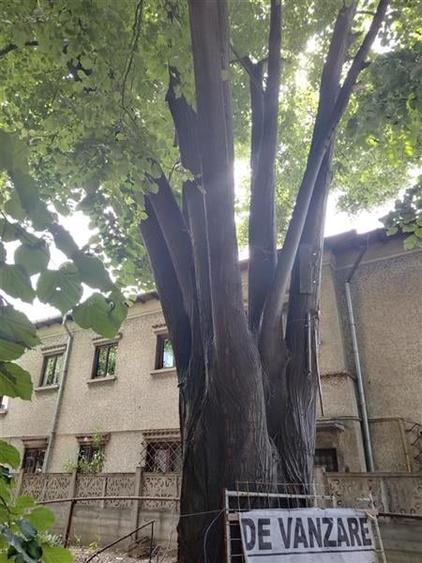 O proprietate unica - teren stradal in Cotroceni - 1240 mp - 4