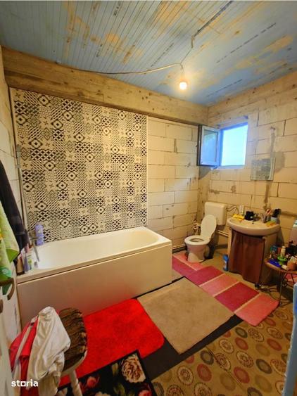 Ocazie! Vila 375 m.p. la rosu, langa padurea Odoreanu - doar 175.000E - 10
