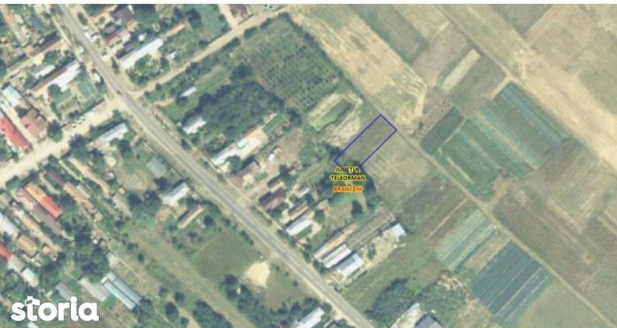 Teren Branceni, ID: R2942560 - 2
