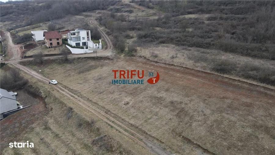 Spațiu comercial, în Cetate