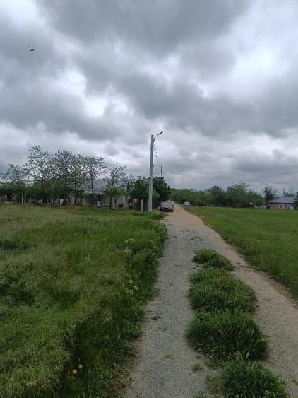 Teren Construcții intravilan de 894 mp, în Comana