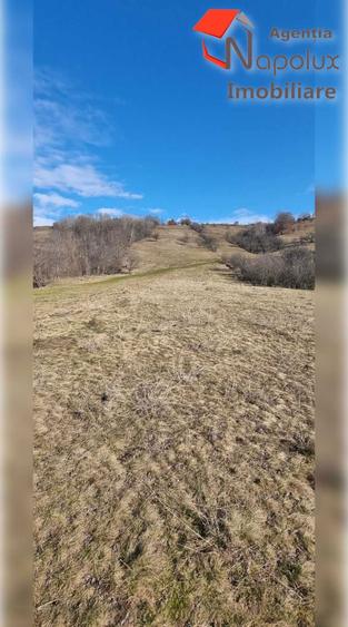 Teren de exceptie 3,1 ha intravilan | Panorama, utilitati, acces dublu | Sardu - 5