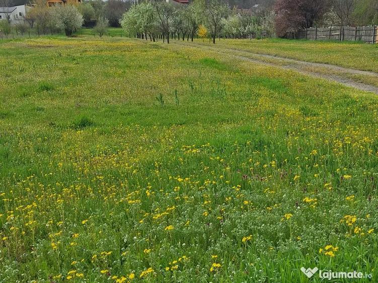 Vand teren intravilan Craiova 4155mp - 2