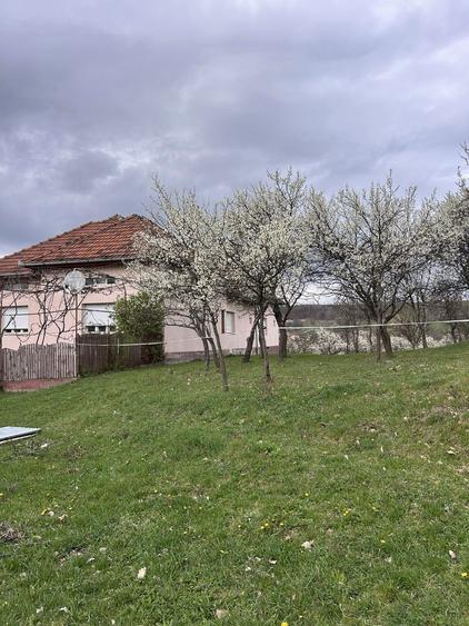 Teren extravilan 50 arii(5022 mp) bobaia - 5