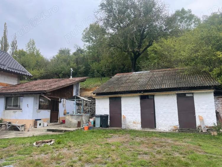 Casa cu livada de vanzare Poiana Aiudului - 8