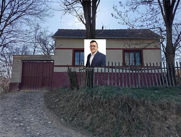 Petrosnita, Casa, 4 incaperi la 10 min. de Caransebes - 1