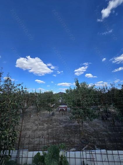 Parta-casa si teren 719 mp-parter - 5