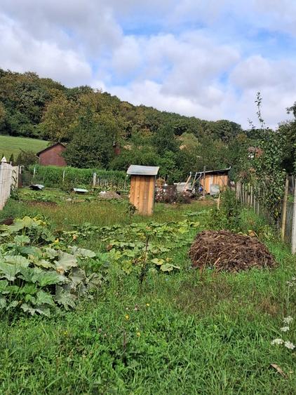 Teren intravilan cu aprobare PUZ in TG MURES TG Mures - 7