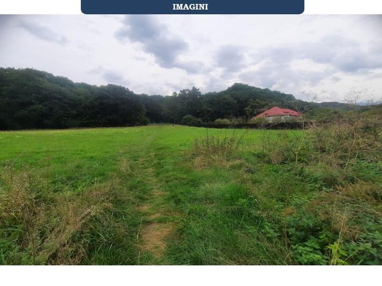 Teren superb Rasnov str Izvorului Cartierul Primaverii - 12