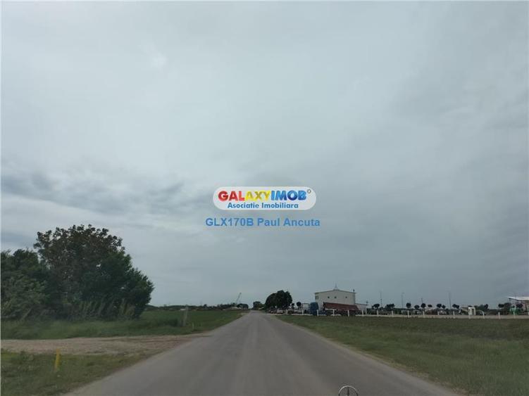 Teren Autostrada A3 Moara Vlasiei 26000 mp  Industrial Depozitare - 1