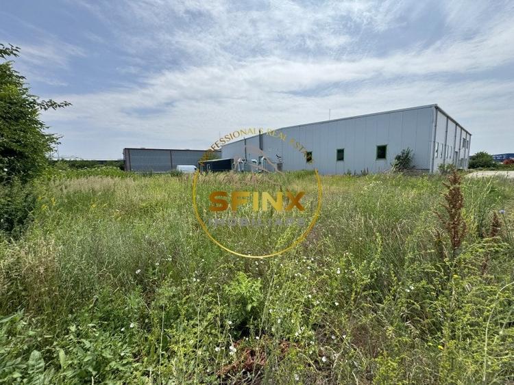 Hala si birouri zona Mogosoaia sos Odai - 16