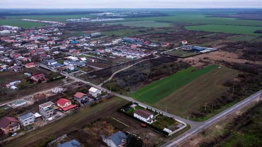 Vanzare teren intravilan 10.000mp Afumati - Strada Teiului - 9