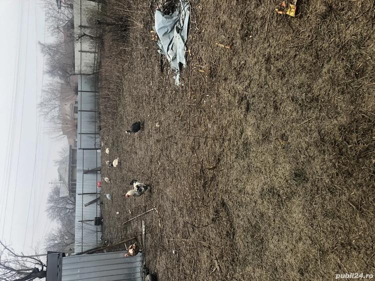 Inchiriez teren intravilan - 1