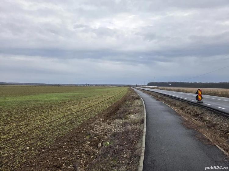 Teren 15000 mp intr. in Scrovistea langa Snagov - 1