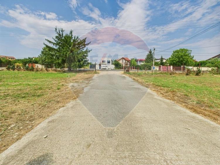 Proprietate speciala Dragomiresti Deal -Teren 15000 mp - 38