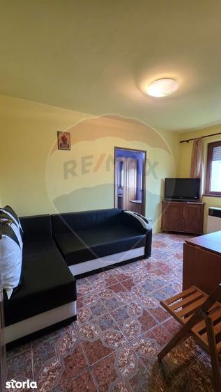 Apartament cu 3 camere de vanzare, str Tineretului - 8