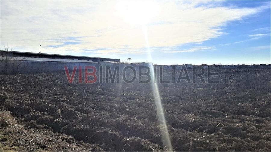 Otopeni - Strada Alexandru Ioan Cuza - 4