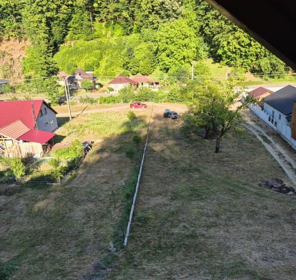 Ilba, casa caramida, 40 ari teren - 4