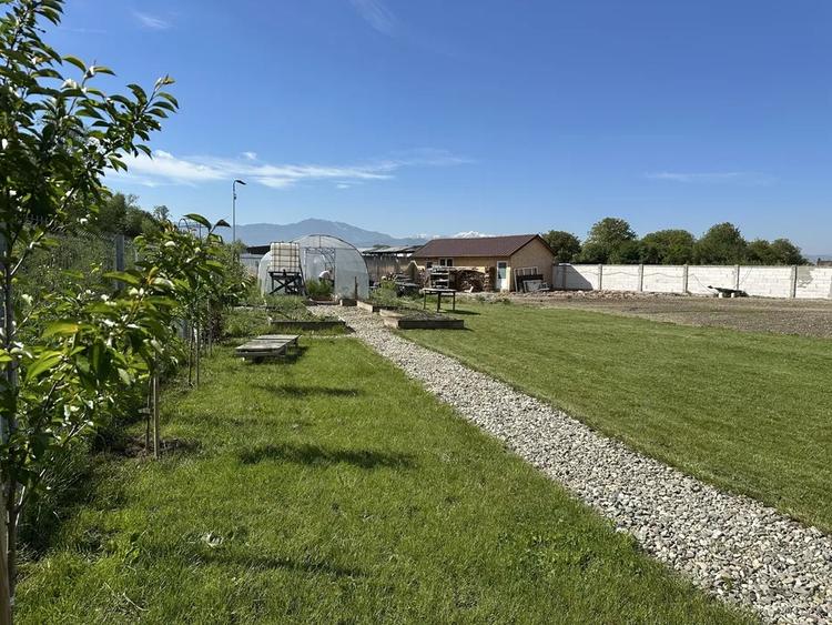 Teren 1.243 mp Stupini - 4