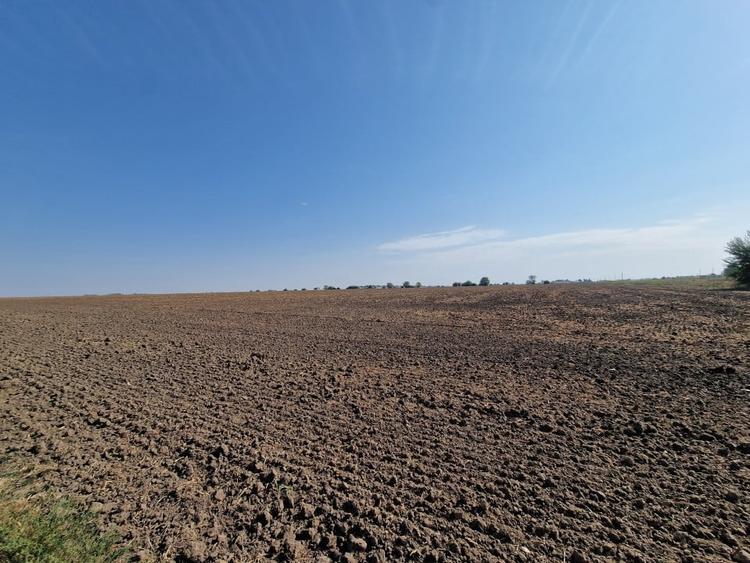 De vanzare! Teren (9100 mp) in Tunari! - 9