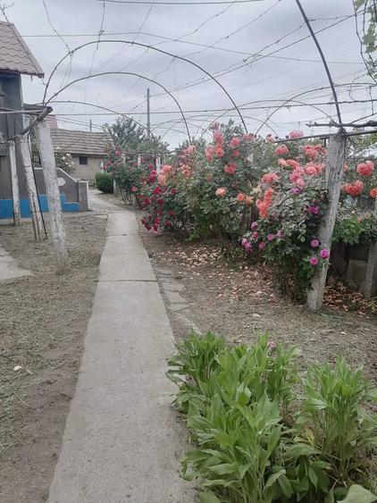 Casa in satul Zebil cu vedere superba spre lacul Babadag - 2