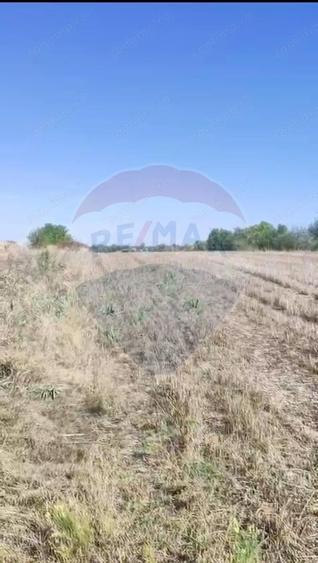 Teren 5,000mp Tantava / Strada Tufan - 1