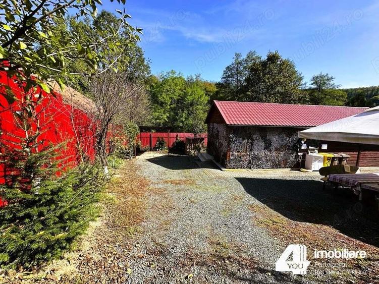 Casa de vacan?a in Gro?ii Noi, jude?ul Arad - 6