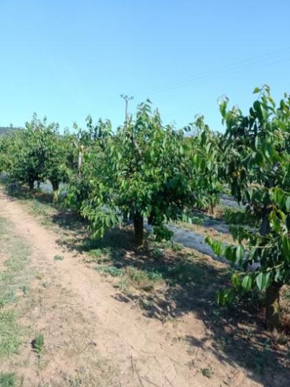 Vind teren intravilan - 2