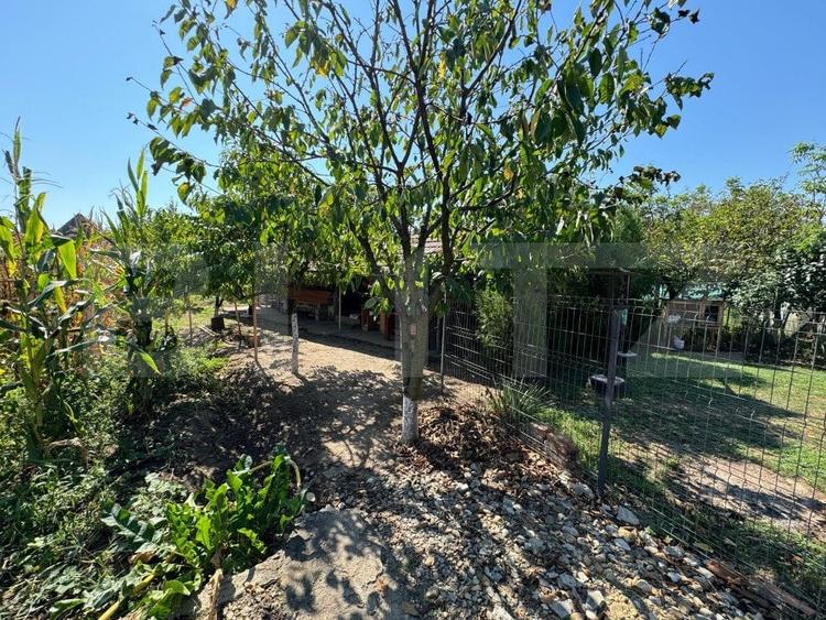 Casa de vanzare zona micesti - 6