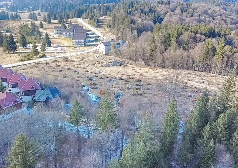 Teren 28.000mp Poiana MIca intre Monterai si Grand Chalet - 6