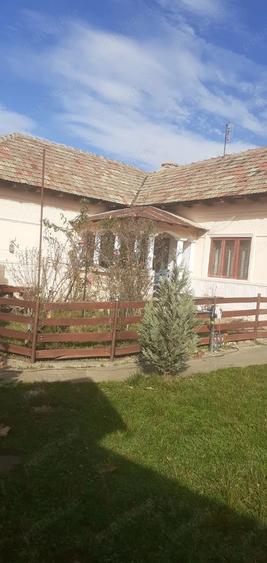 Casa cu curte mare ?i vie pe spalieri - 1