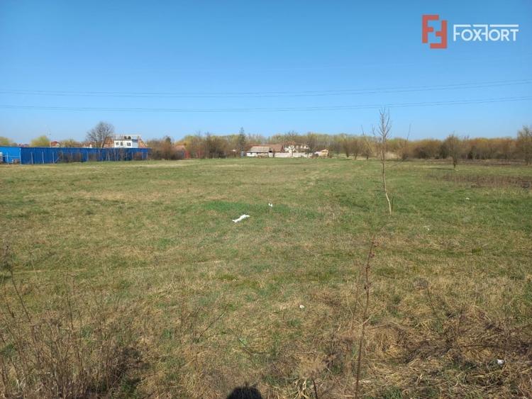 Teren intravilan – oportunitate investitie – zona Centura Timisoarei - 1