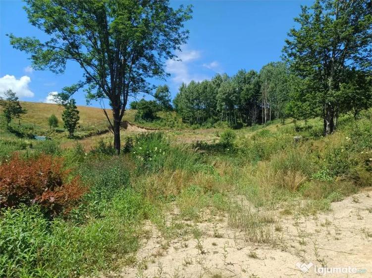 Teren Intravilan in zona Trei Ape, 6889 Mp., 14,5 Euro/Mp., - 11