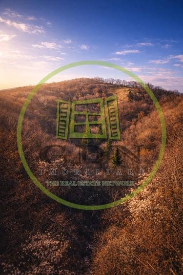 Pădure de vânzare în Scheii Brașovului 2 hectare de natură Brașov Schei - 9