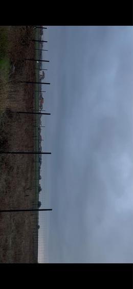 Teren 1845 mp Com Berceni - 3