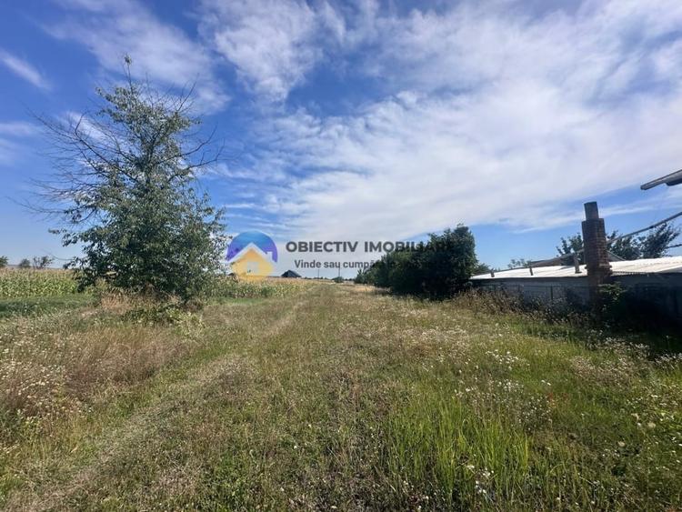 Teren intravilan de vanzare – 1.688 mp, Dumbrava Rosie - 1