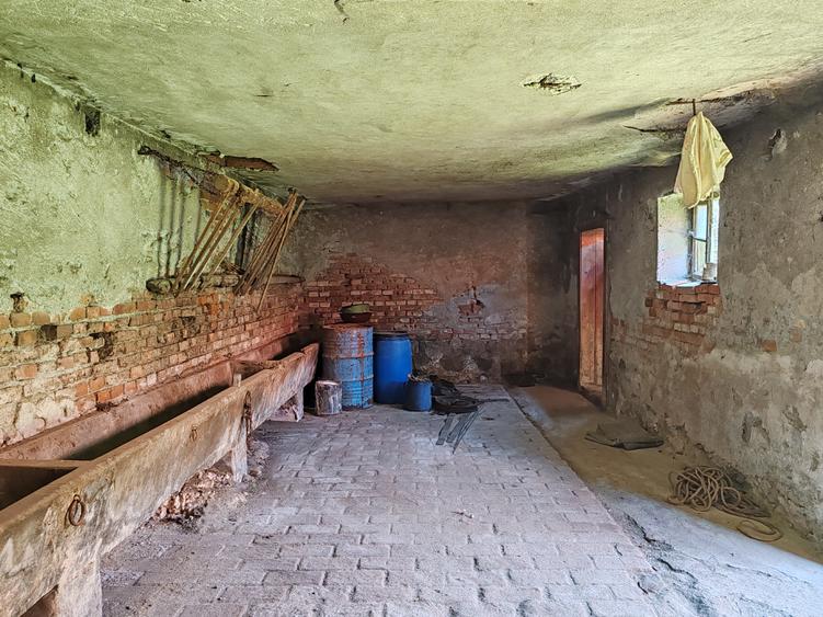 Casa 3 camere libera la vanzare TARLUNGENI - 22