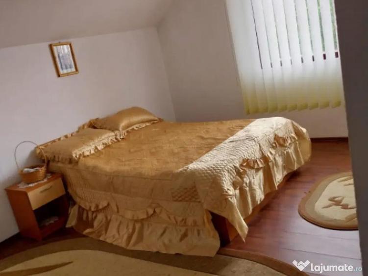 Vila 7 camere, 200 mp, zona Maneciu Pamanteni - 5